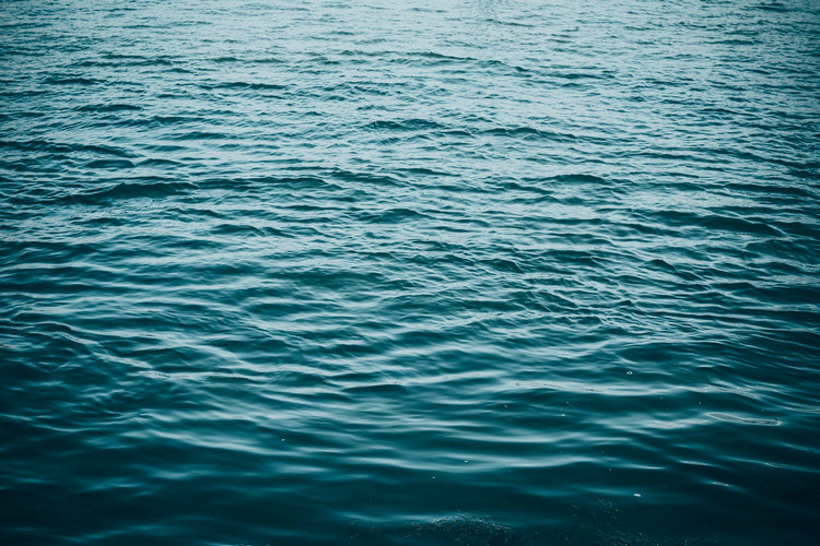 1669274633376997.jpeg 水5.jpeg