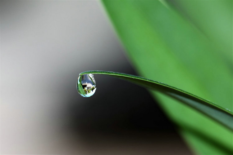 多參數(shù)水質(zhì)檢測儀 多參數(shù)水質(zhì)檢測儀