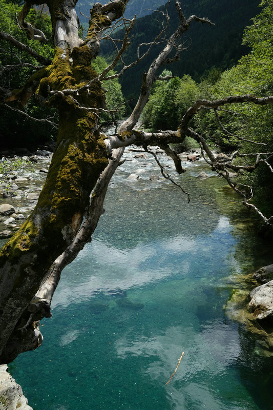 實(shí)驗(yàn)室重金屬鉻測(cè)定儀 實(shí)驗(yàn)室重金屬鉻測(cè)定儀